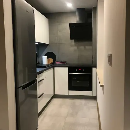 Apartament 45M2 Czeladz 8Km Do Katowic Exterior foto